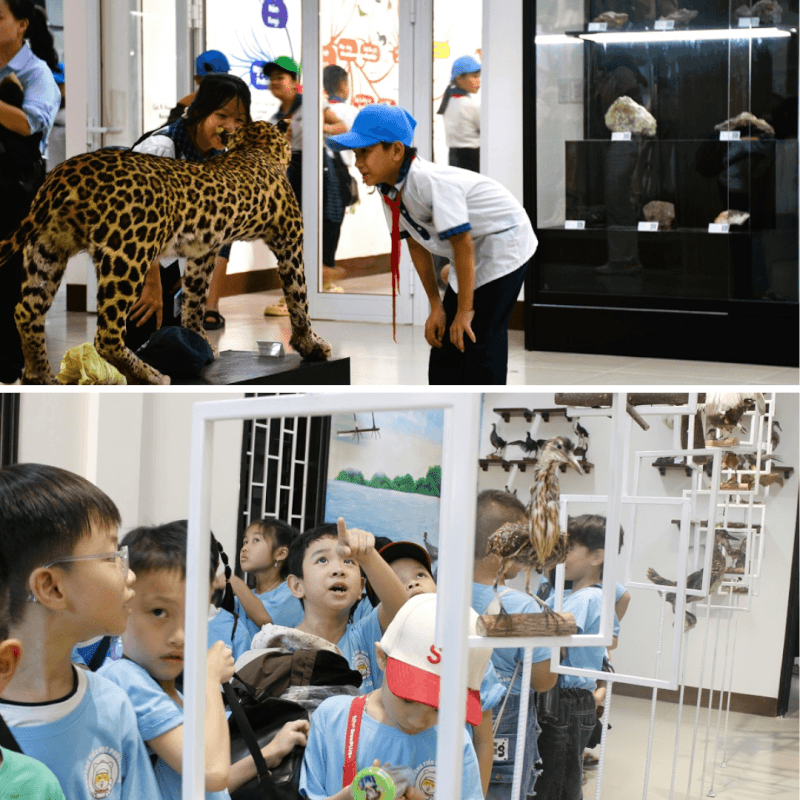 Bảo tàng tọa lạc tại một khu vực khá yên tĩnh