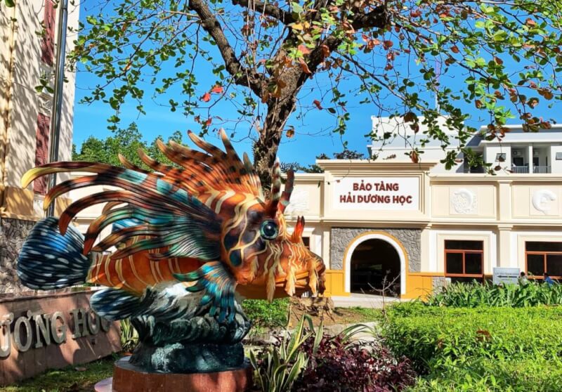 nơi được ví như một bảo tàng sống của đại dương Việt Nam.