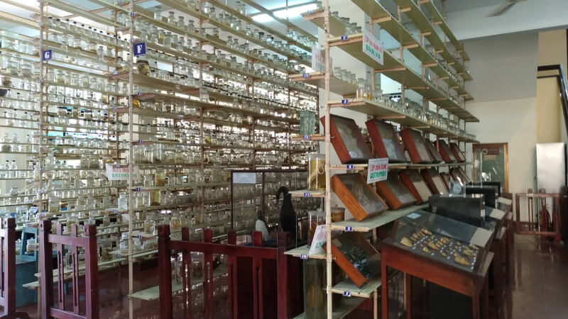 Từ các loài cá, giáp xác