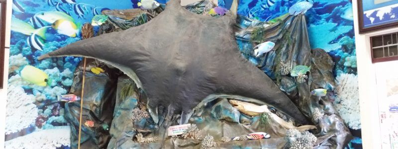 Đây cũng là khu vực được nhiều người