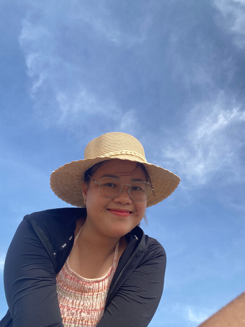 Huỳnh thị ái diễm