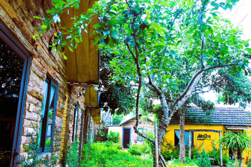 홈스테이 모카하우스