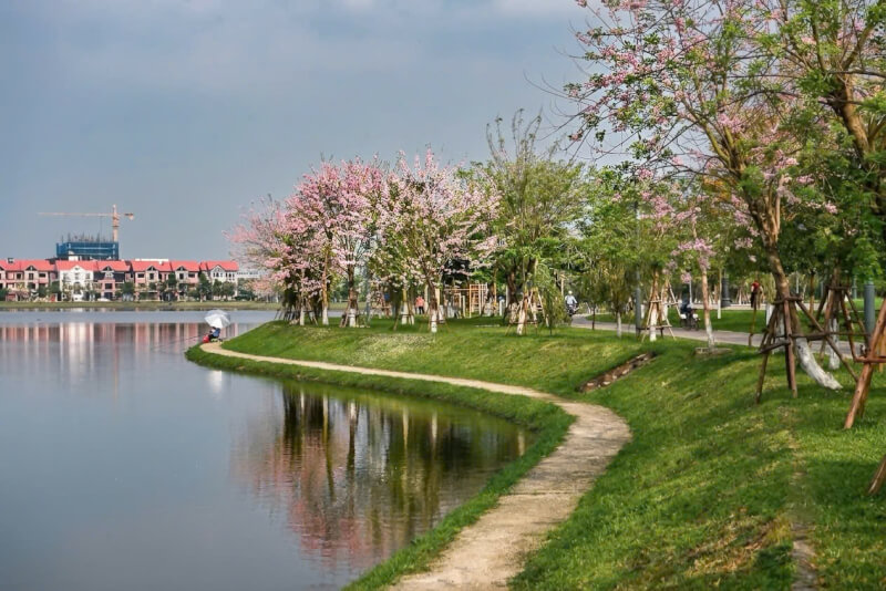 文庙调和湖公园 (Công viên Hồ Điều Hòa Văn Miếu)，北宁省大福：城市中的一片静谧绿洲