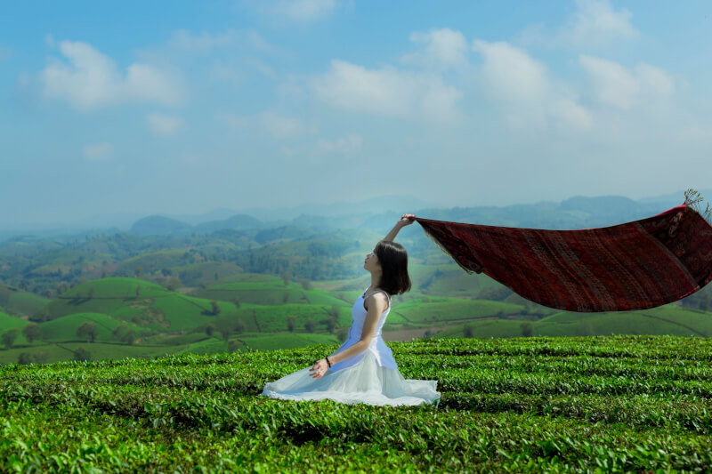 My First Visit to Phu Tho: 7 Experiences That Made Me Want to Return!