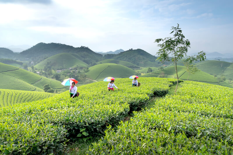 Một lần đến Long Cốc