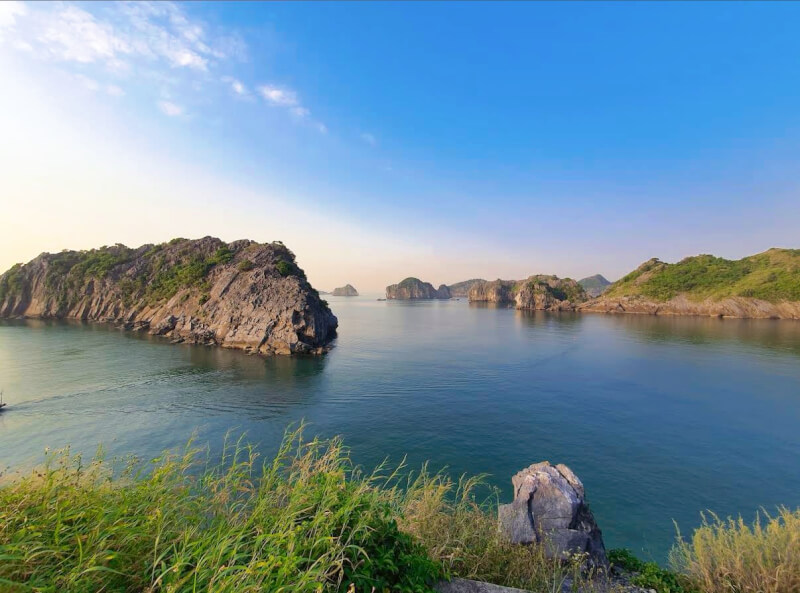 Nhịp chèo đều đặn