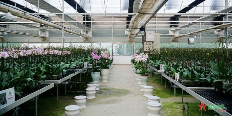 Vườn hoa Mê Linh