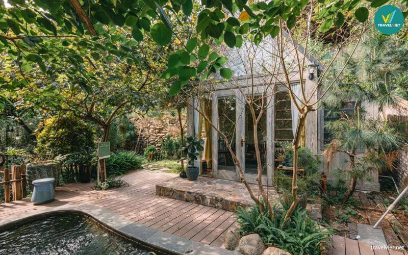 U Lesa Nhà Bên Rừng