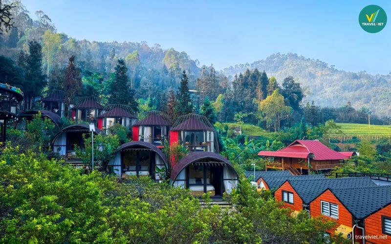 Plum Homestay Đồng Văn