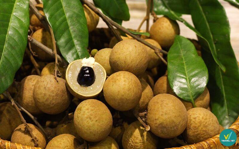 Nhãn lồng Hưng Yên