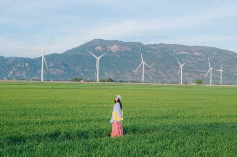 Check-in cánh đồng điện gió Đầm Nại