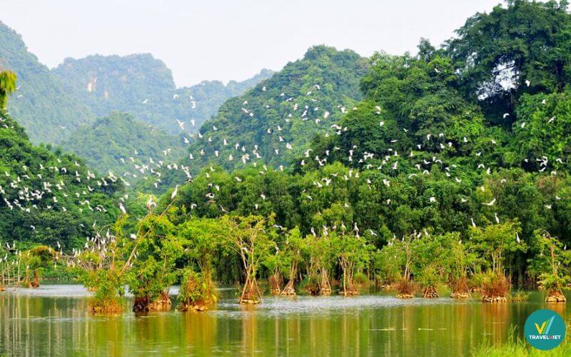 vườn chim Thung Nham