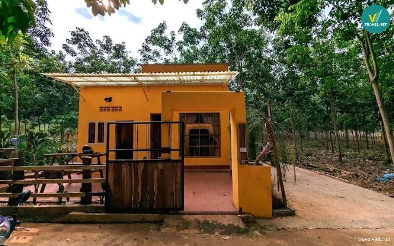 Nhà Ông Chú Homestay