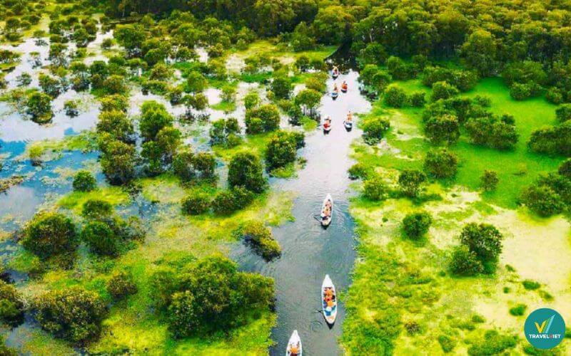 Rừng tràm Trà Sư