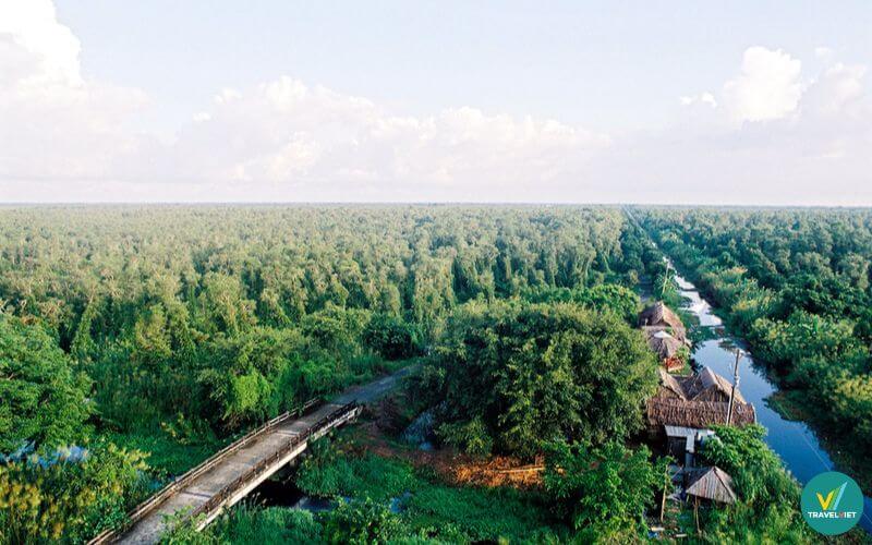 Rừng tràm U Minh Hạ