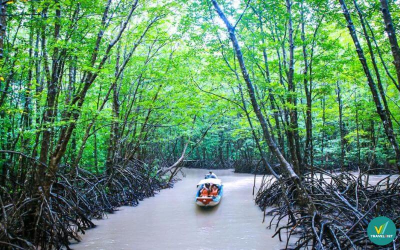 Rừng đước Năm Căn