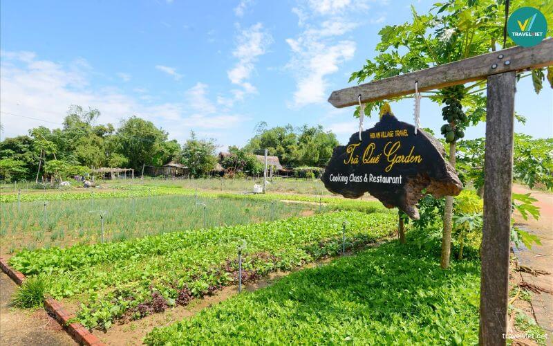 Làng rau Trà Quế Hội An