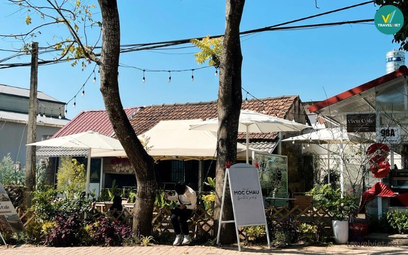 Vivu Café Moc Chau - Local Tea & Coffee