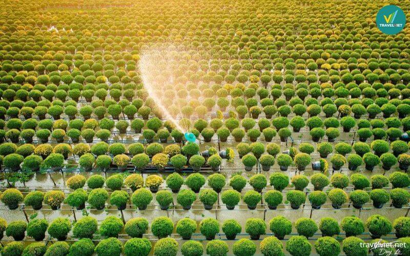 Du lịch tháng 1 ở Sa Đéc