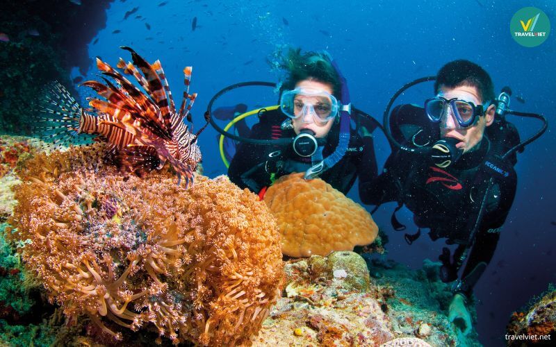 Lặn ngắm san hô ở Nha Trang