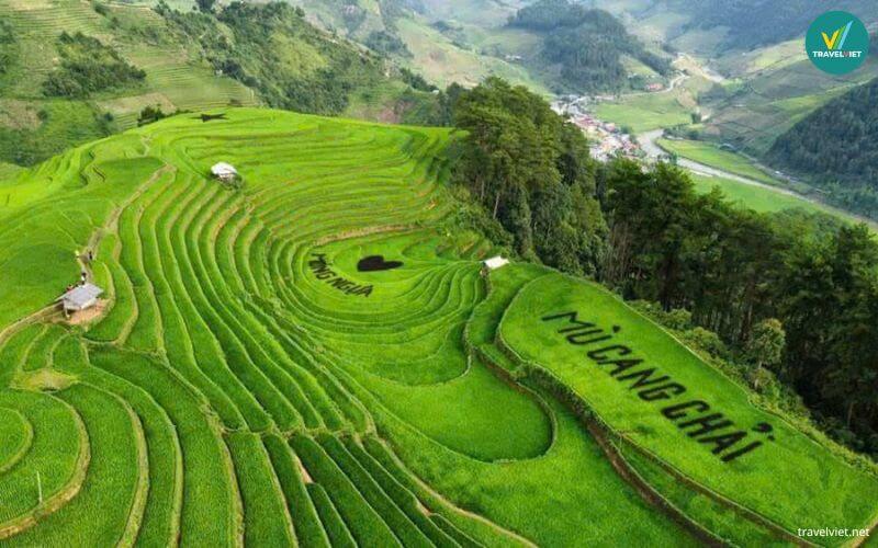 Mù Cang Chải