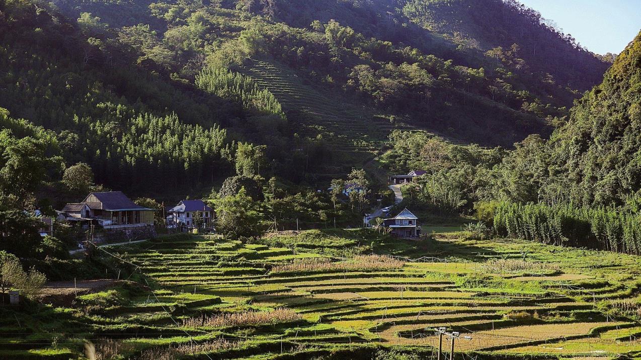 vân sơn