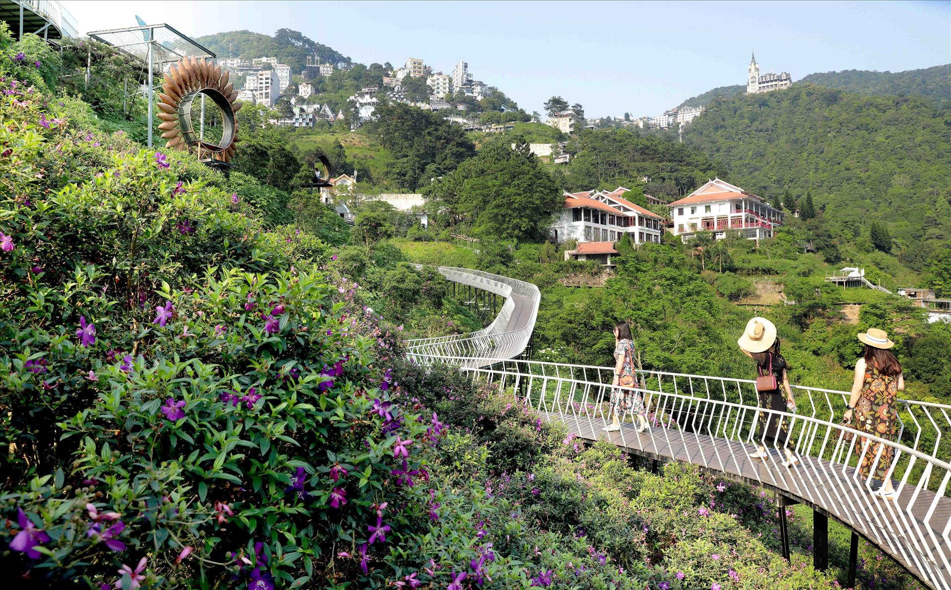 cầu mây