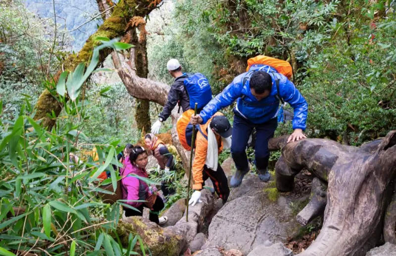 Leo núi trekking đỉnh Fansipan