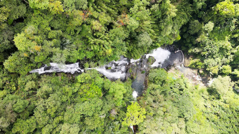 Vườn Quốc gia Pù Mát