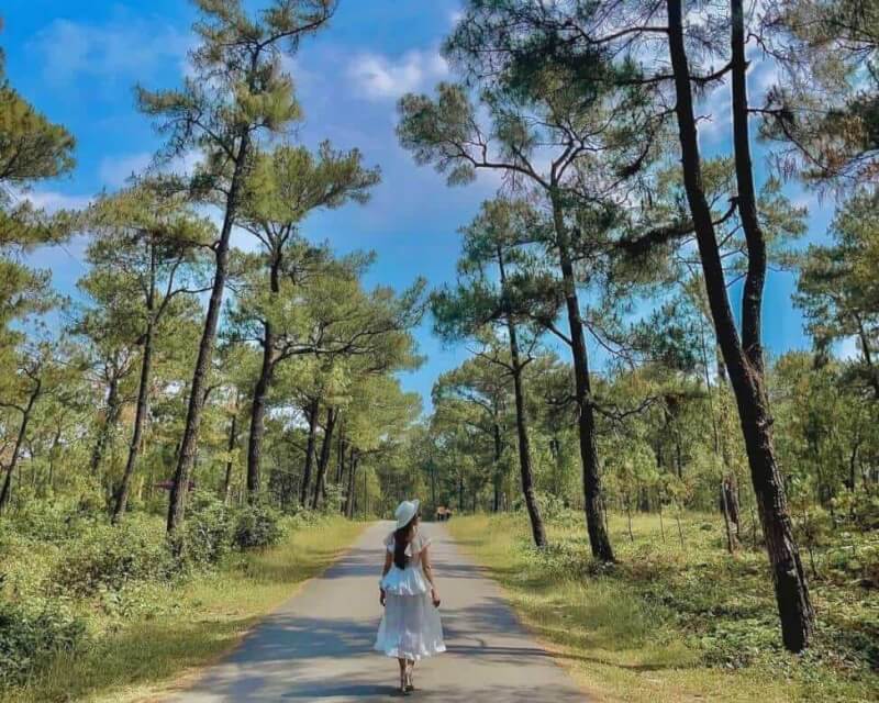 Time to travel to Thien An Hill - Thuy Tien Lake