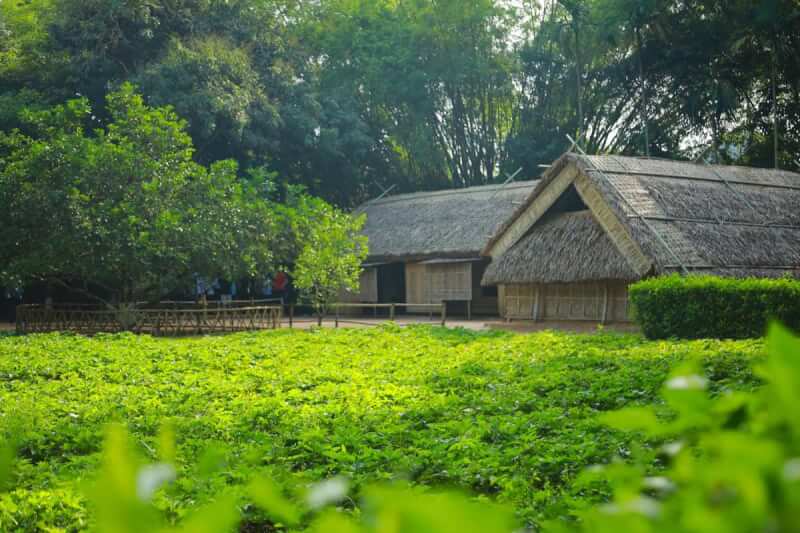 Nên đi du lịch khu di tích Kim Liên thời gian nào đẹp nhất?