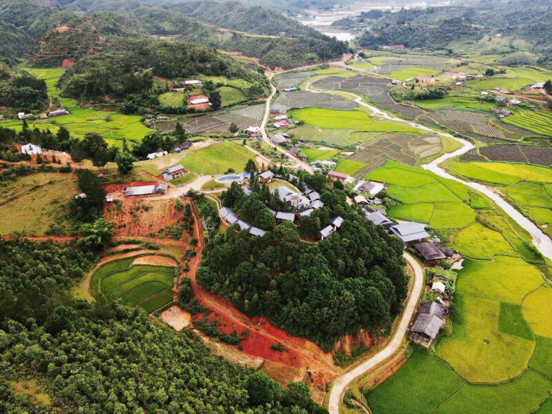 Lam Ecolodge Mù Cang Chải