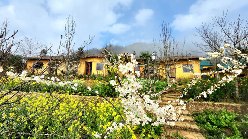 Homestay Khám Phá Y Tý