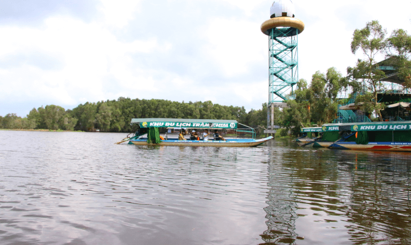 Đài quan sát toàn cảnh rừng tràm