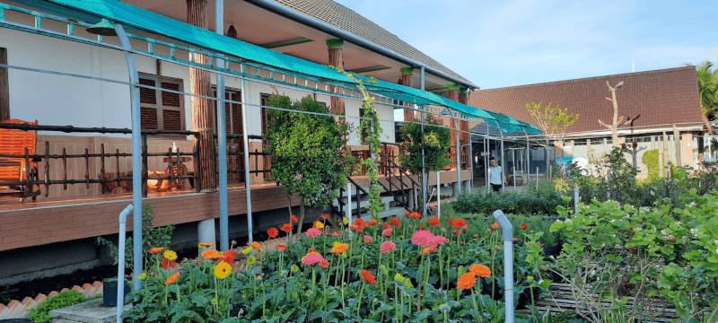 Flower Frog Homestay