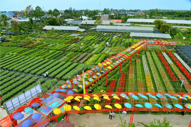 Giới thiệu chung về làng hoa kiểng Sa Đéc