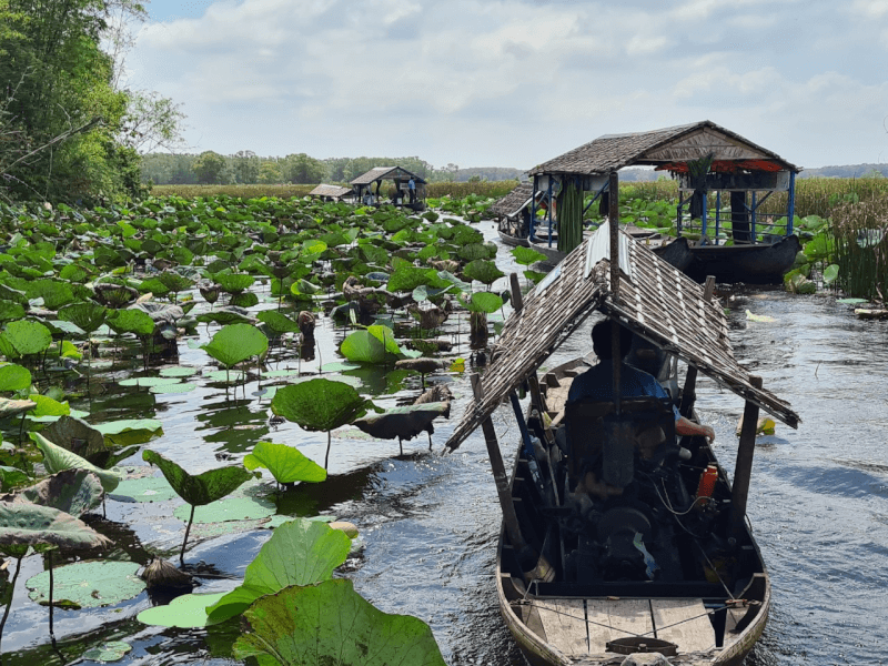 Gợi ý phương tiện di chuyển trong khu vực