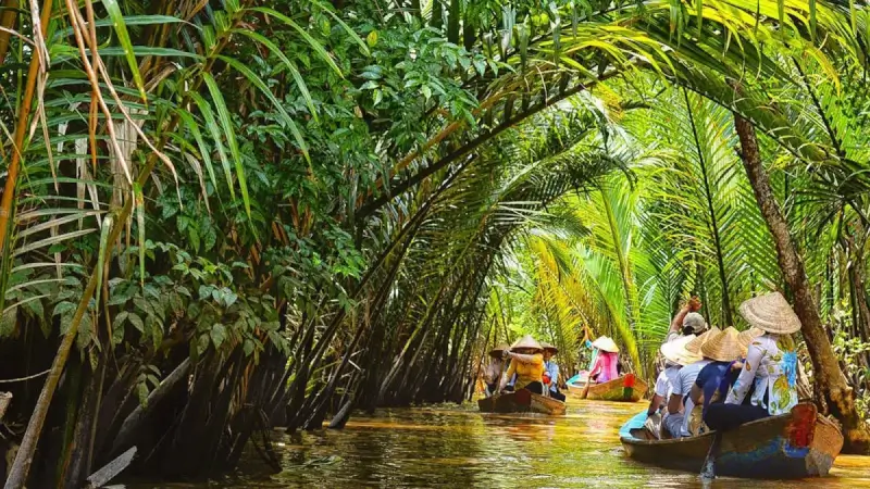 Kênh rạch dừa nước nằm trải dọc các nhánh rạch nhỏ trong Cù lao Thới Sơn