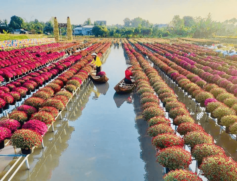 Thời điểm lý tưởng