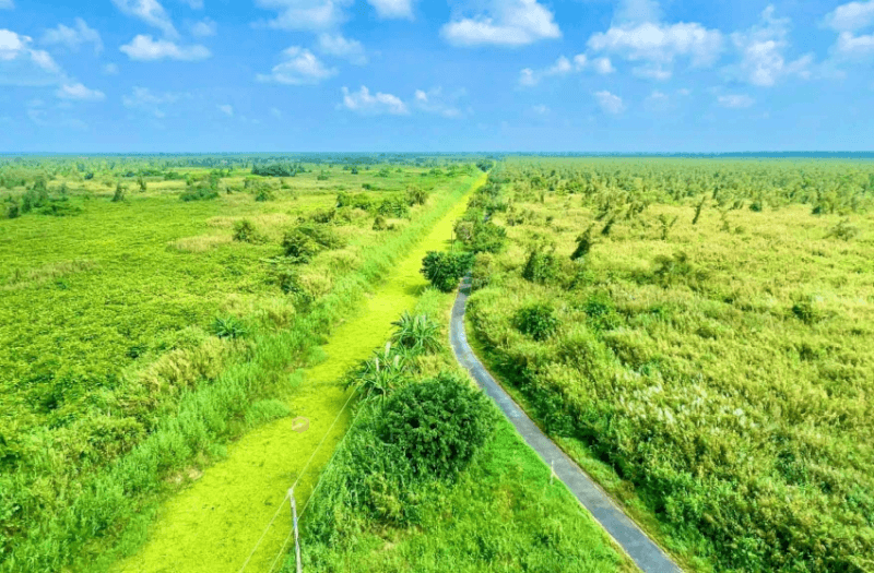 Vườn Quốc gia Mũi Cà Mau