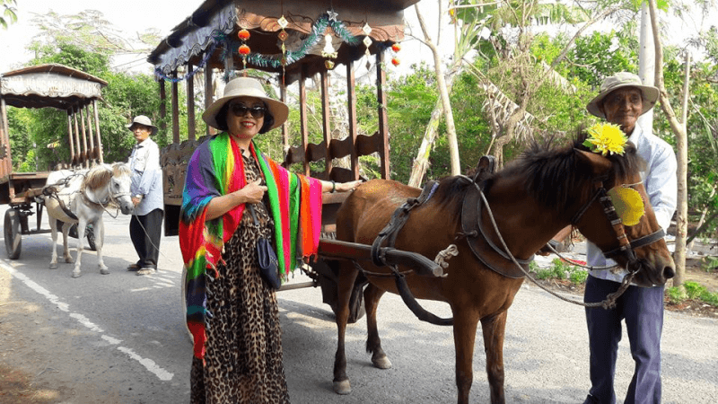 Xe ngựa tham quan đường làng